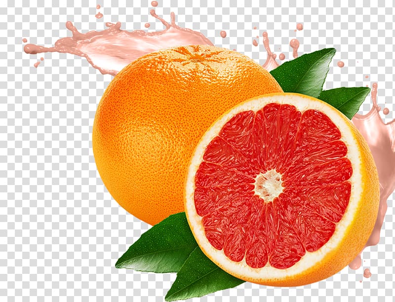 orange fruit illustration, Grapefruit juice Grapefruit juice Pomelo Lemon, Grapefruit transparent background PNG clipart