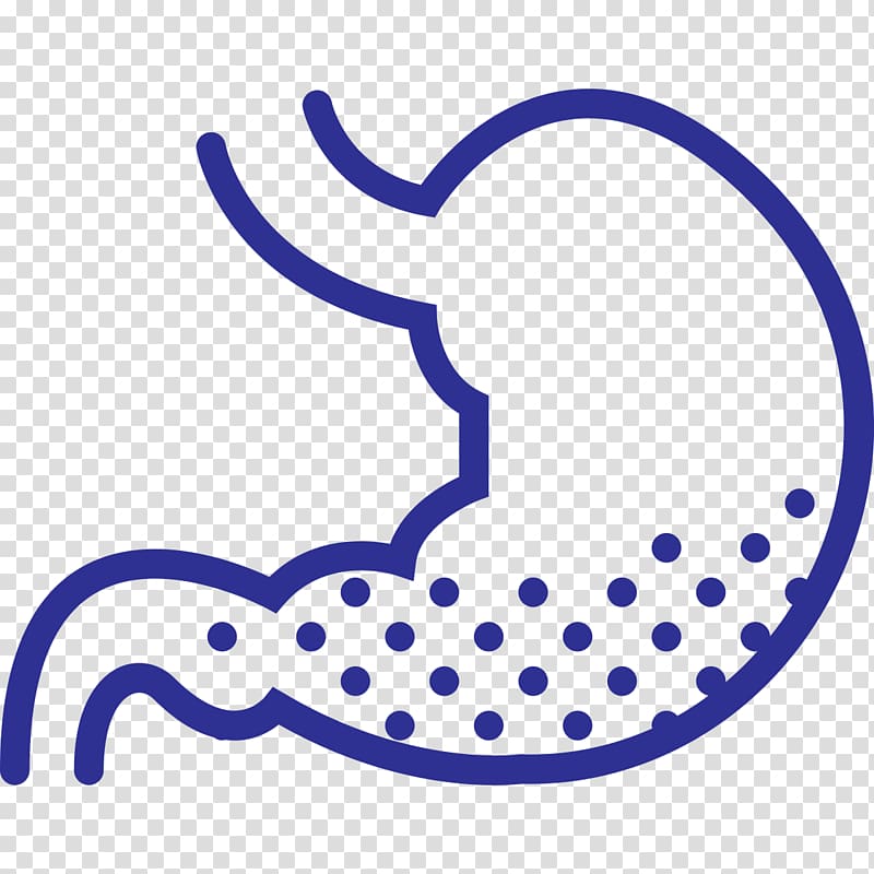 Stomach Organ Mesothelioma Abdomen Computer Icons, health transparent background PNG clipart