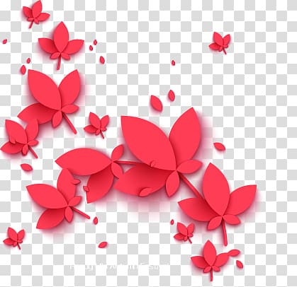 flowers transparent background PNG clipart