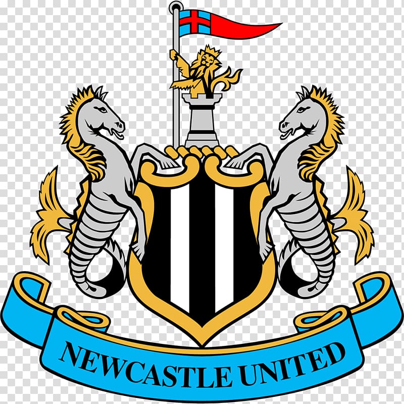 Newcastle United F.C. St James\' Park 2012–13 Premier League Football Liverpool F.C., football transparent background PNG clipart