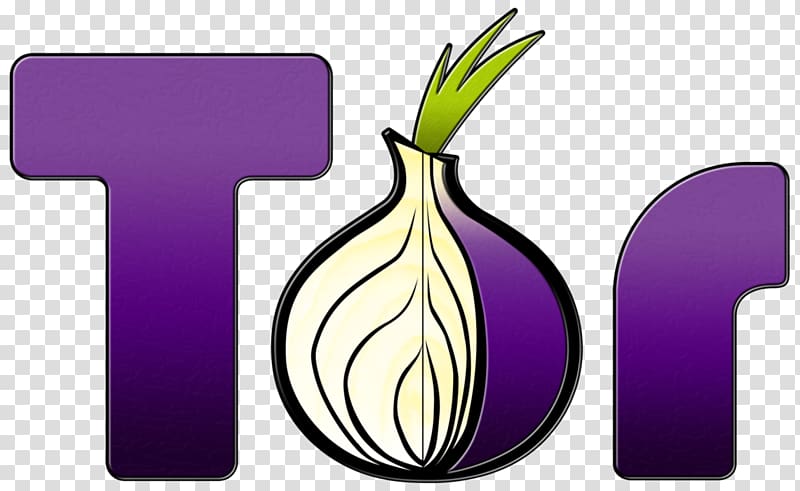 Tor Browser Web browser Computer Icons Anonymity, onion transparent background PNG clipart