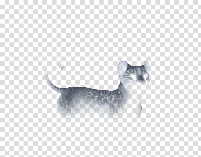 Whiskers Puppy Cat Dog Lion, puppy transparent background PNG clipart