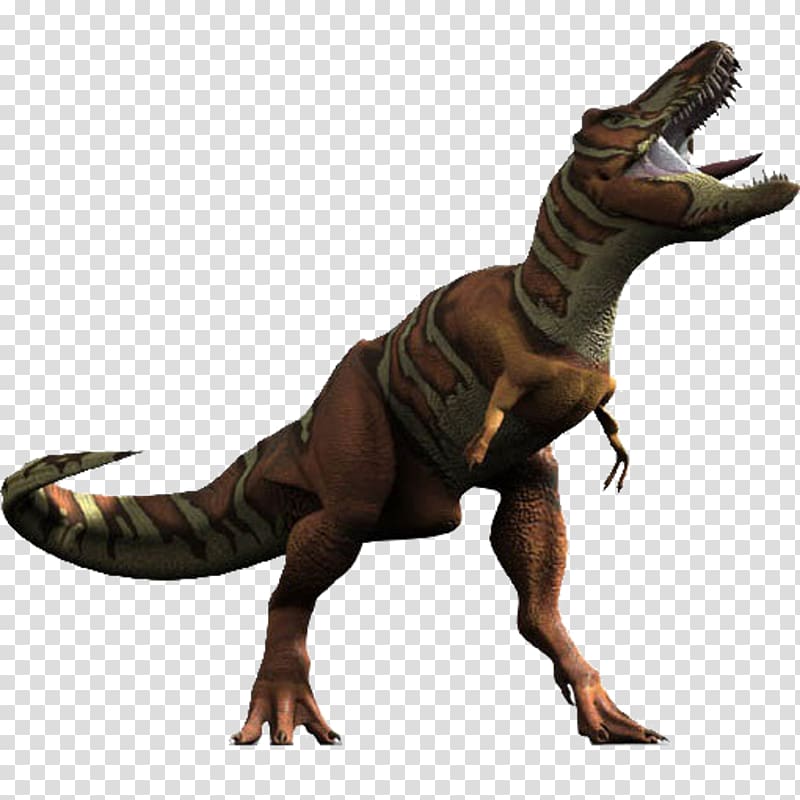 Daspletosaurus Torosaurus Dinosaur Ankylosaurus Tyrannosaurus rex, dinosaur transparent background PNG clipart