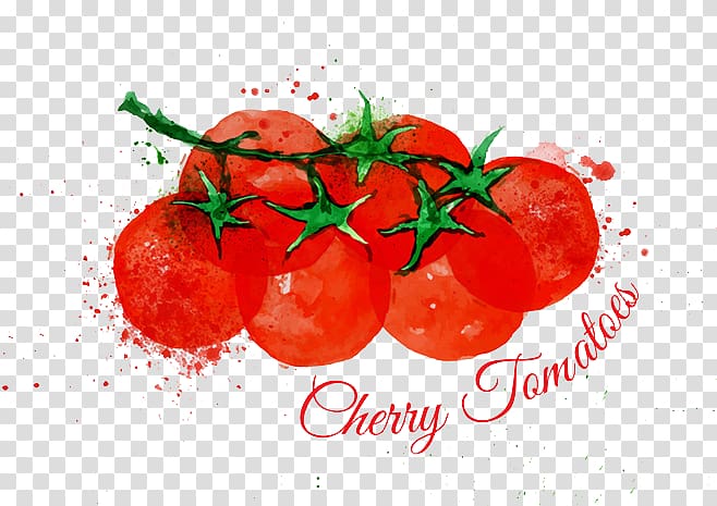 Cherry tomato Watercolor painting Lettuce Illustration, tomato transparent background PNG clipart