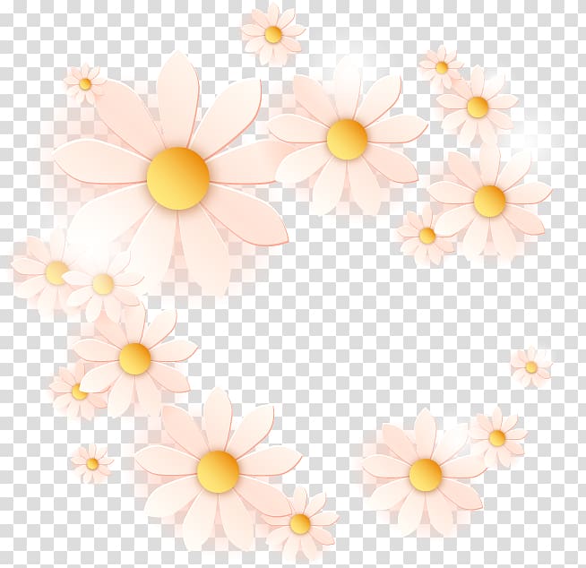 Margarita Drawing Common daisy, White chrysanthemum transparent background PNG clipart