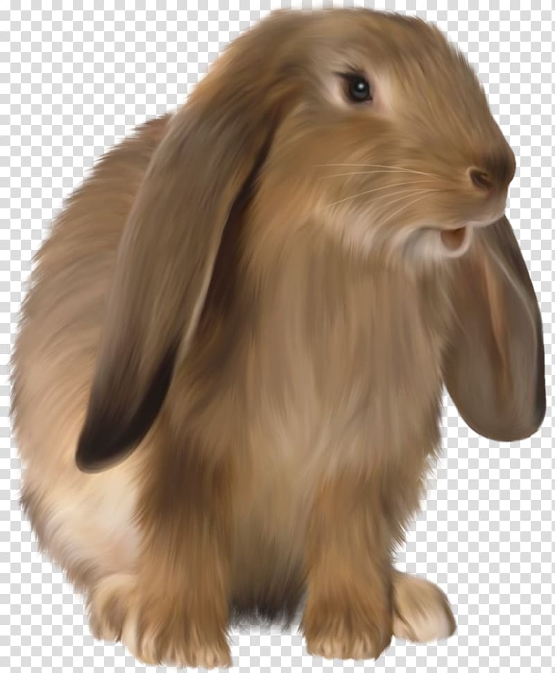 brown hare, Rabbit Scalable Graphics , Cute Brown Bunny transparent background PNG clipart