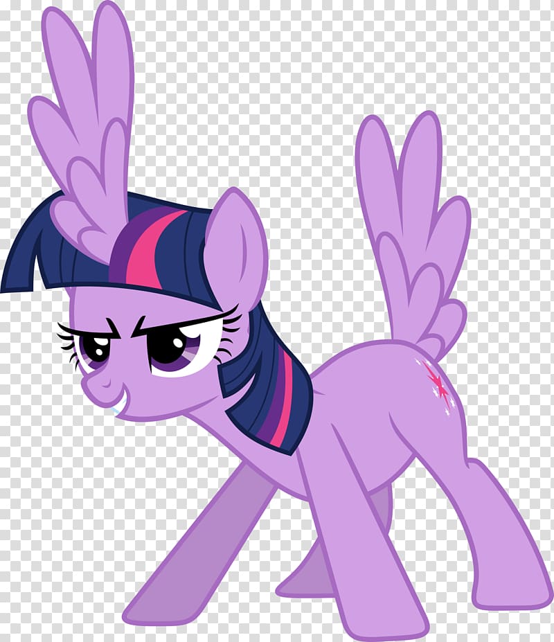 Twilight Sparkle Rarity Pinkie Pie Pony Rainbow Dash, midnight transparent background PNG clipart