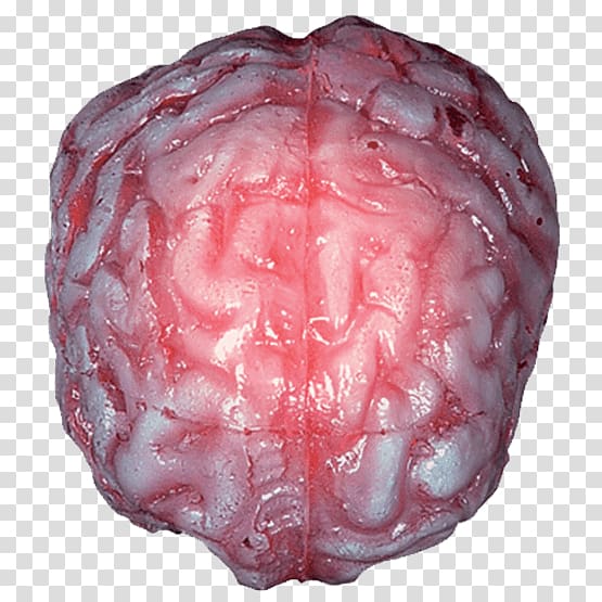 Brain Color Light Visual perception Heart, Brain transparent background PNG clipart