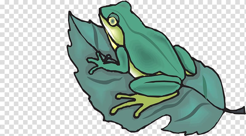 The Tree Frog Amphibian , frog transparent background PNG clipart