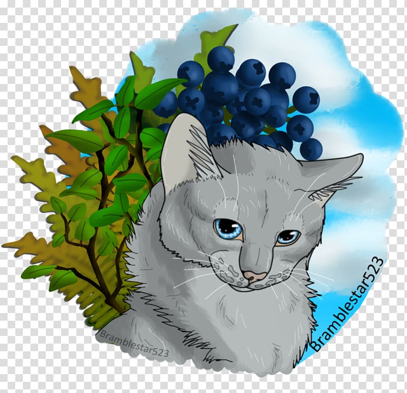 Kitten Whiskers Korat Dovewing Warriors, kitten transparent background PNG clipart