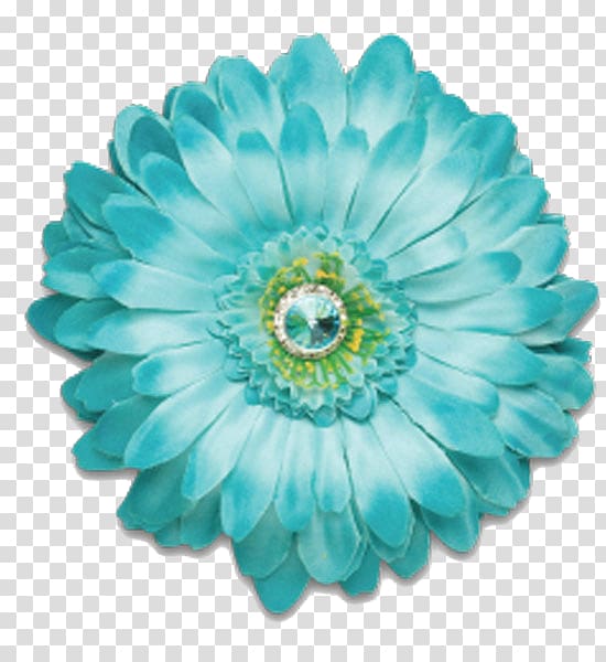 Flower Blue Aqua Color Teal, gerbera transparent background PNG clipart