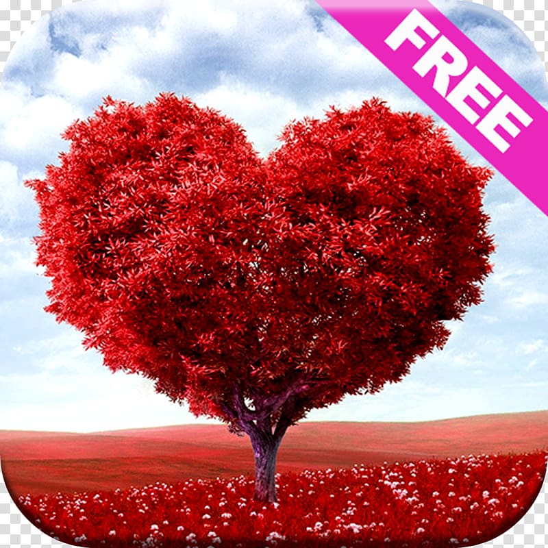 Valentine\'s Day February 14 Gift Propose Day National Hugging Day, good morning transparent background PNG clipart