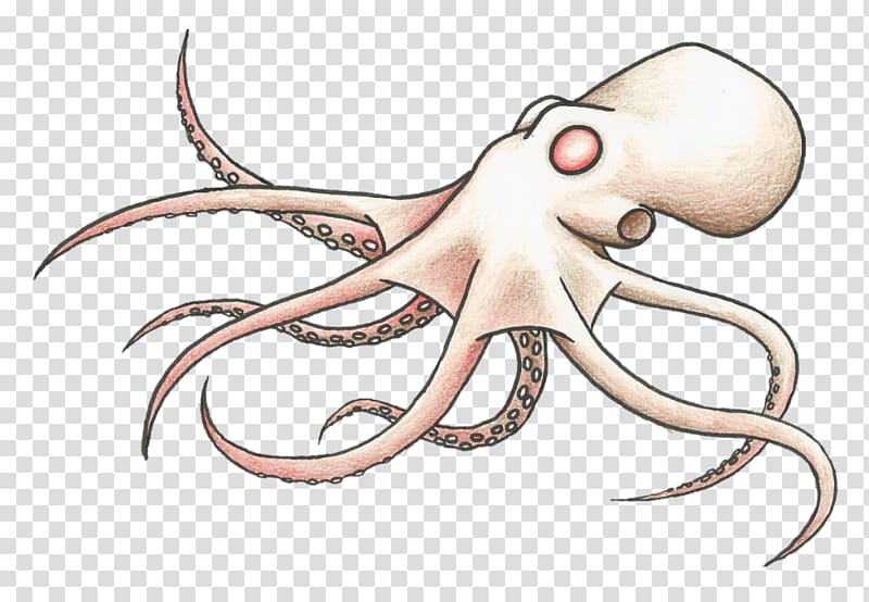 Octopus Squid Line art Cartoon , pulpo transparent background PNG clipart