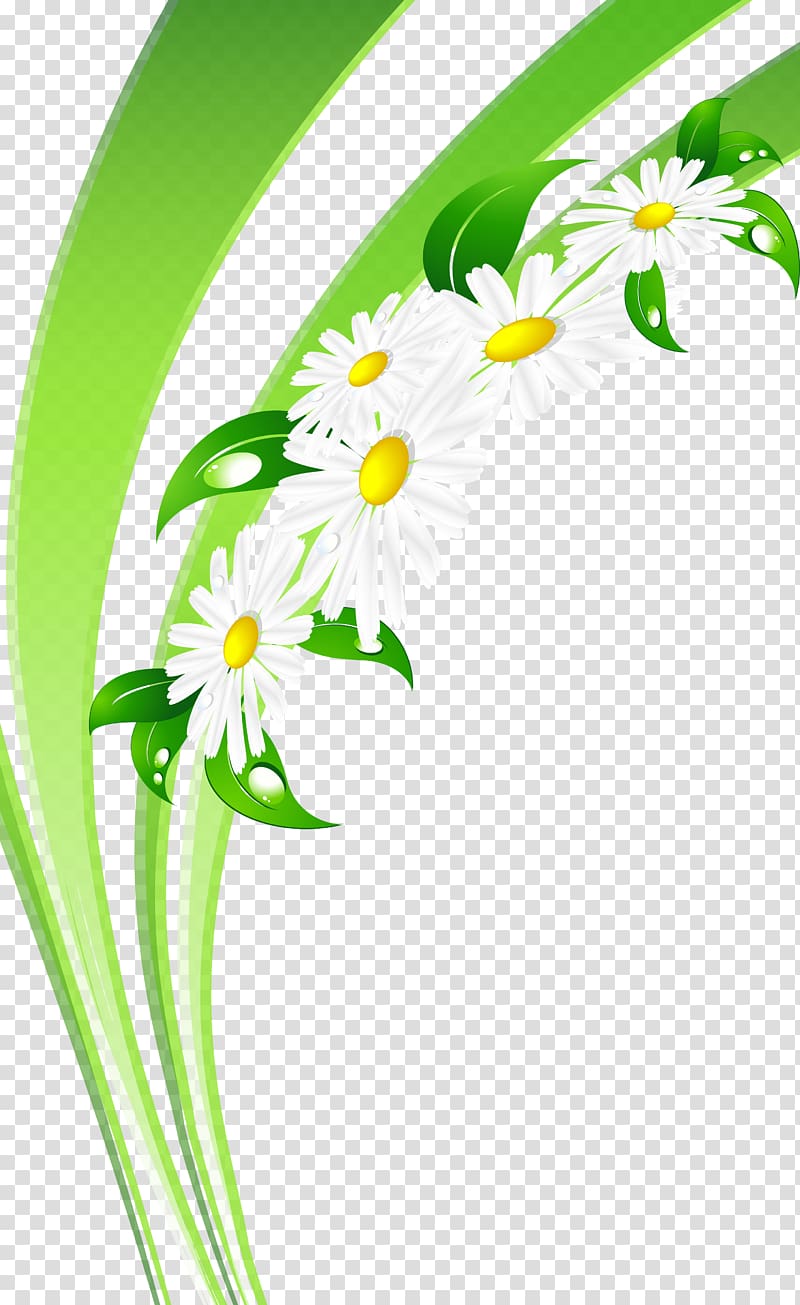 Day of Russian Family and Love , Chamomile flower transparent background PNG clipart