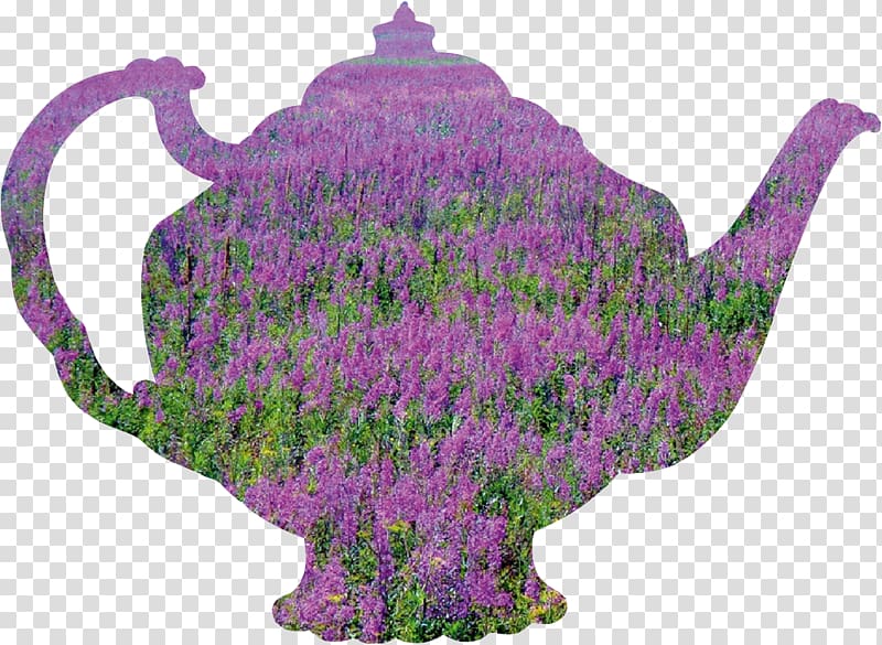Lavender Flowerpot, Ivan Tea transparent background PNG clipart