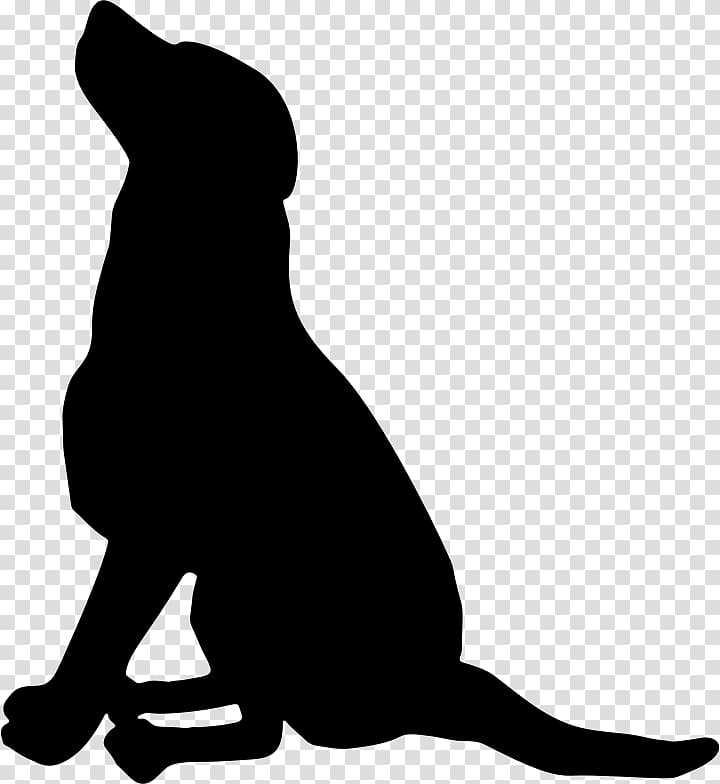 Labrador Retriever Pet sitting Scotch Collie Greyhound , sitting transparent background PNG clipart