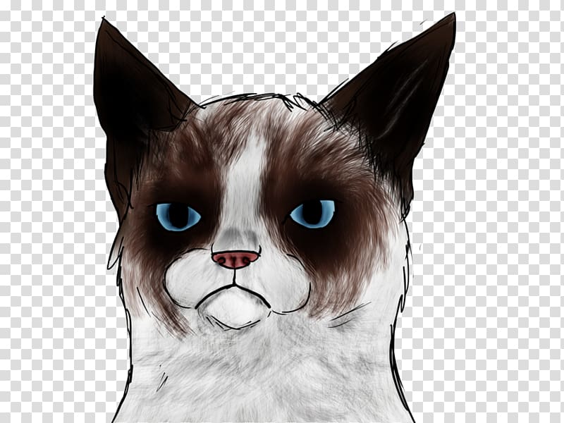 Grumpy Cat: A Grumpy Book Snowshoe cat Kitten Manx cat, kitten transparent background PNG clipart