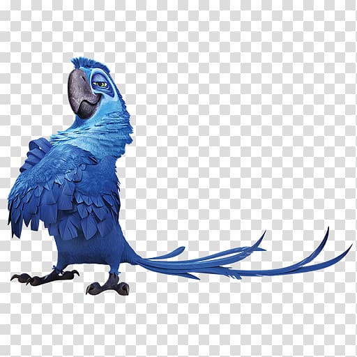 Jewel Blu Rio Linda Icon, parrot transparent background PNG clipart