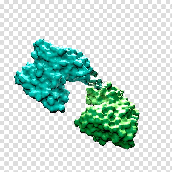 Bi-specific T-cell engager Pharmaceutical drug Bispecific monoclonal antibody Amgen, sterilized virus antibody transparent background PNG clipart