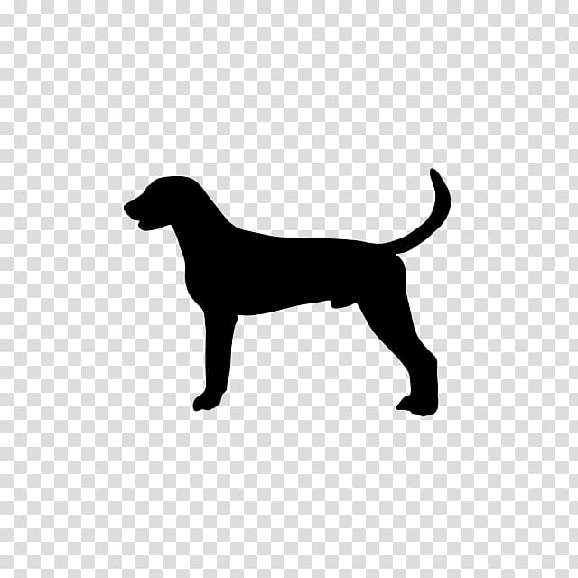 Whippet Rising Sun Kennels | Des Moines | Iowa | Greenland Dog Moscow Watchdog, akita dog transparent background PNG clipart