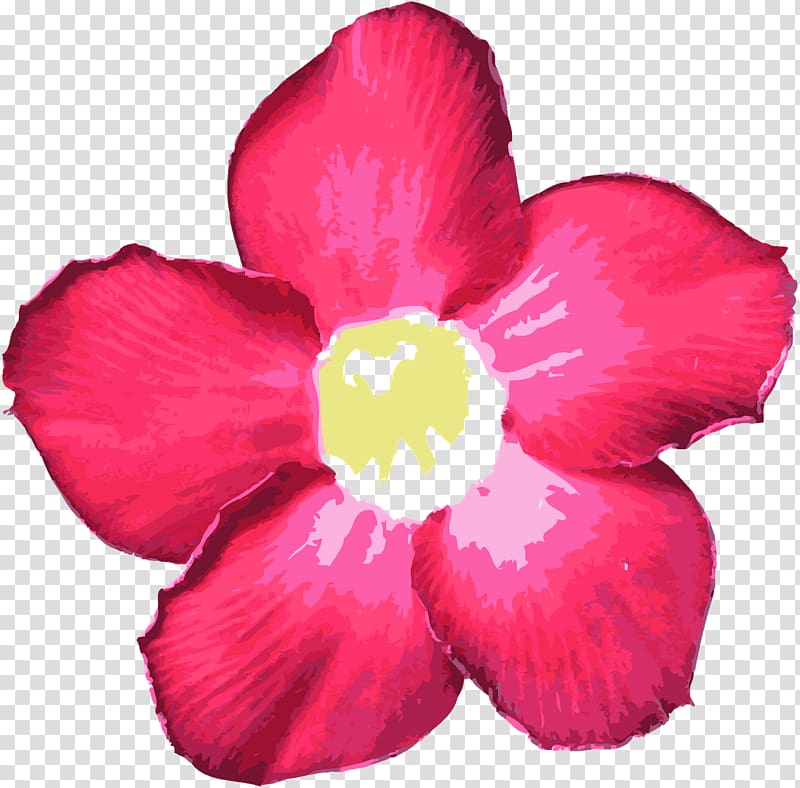 Petal Flower Mallows, red flowers transparent background PNG clipart