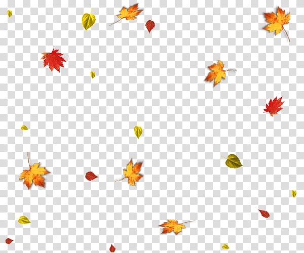 maple leaf, Autumn Leaf , Autumn leaves falling transparent background PNG clipart
