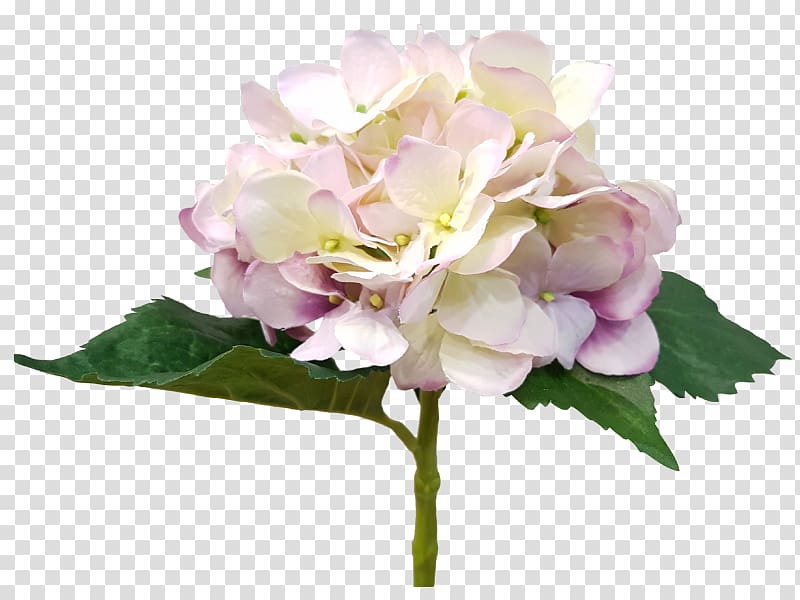 Hydrangea Cut flowers Floral design Flower bouquet Pink, silk hydrangeas transparent background PNG clipart