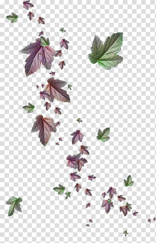 Магия зимы Petal Leaf Vinegar valentines Plant stem, others transparent background PNG clipart