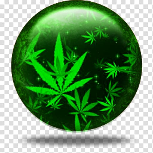 Medical cannabis Purple Haze Cannabis smoking Cannabis cultivation, cannabis transparent background PNG clipart