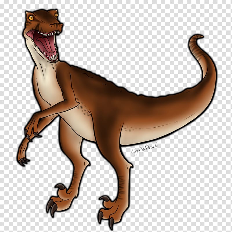 Velociraptor Drawing Tyrannosaurus Cat Dinosaur, F35 Raptor transparent background PNG clipart