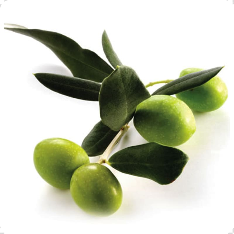 Alentejo Squalane Olive oil, olive oil transparent background PNG clipart