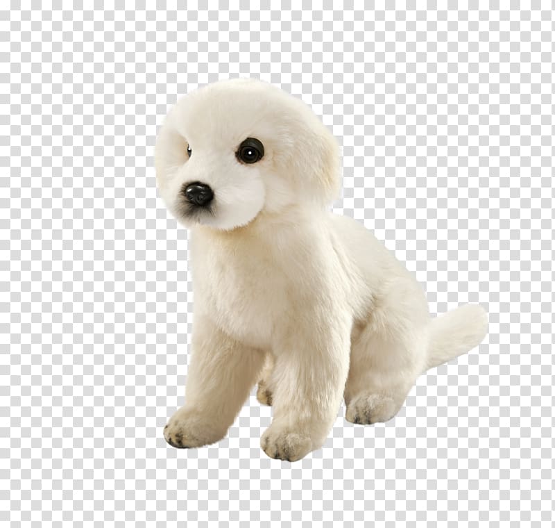 Standard Poodle Maremma Sheepdog Dog breed Puppy, puppy transparent background PNG clipart