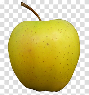 Gold Apple png download - 500*500 - Free Transparent Golden Apple