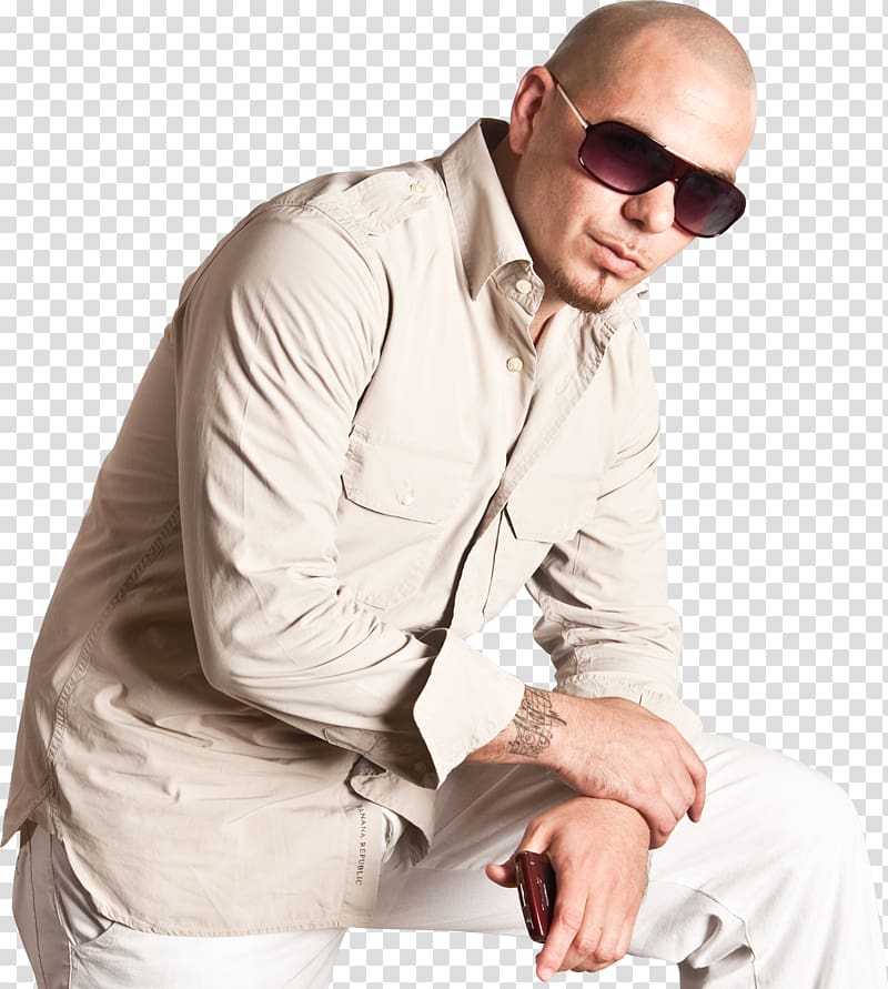 Pitbull American Pit Bull Terrier Singer Desktop Rapper, pitbull transparent background PNG clipart