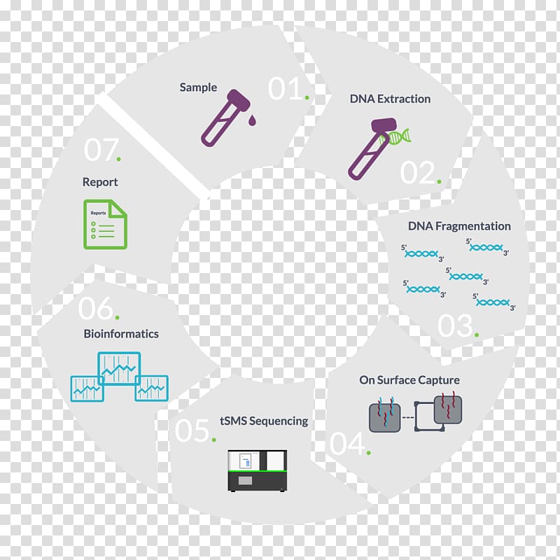 RNA-Seq Genomics Real-time polymerase chain reaction DNA, others transparent background PNG clipart