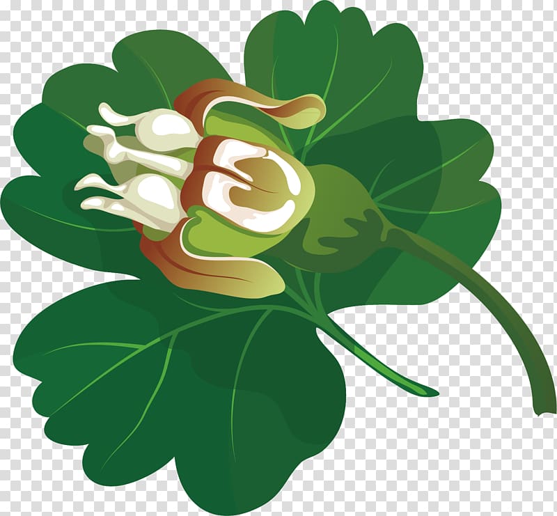 Euclidean , Green leaves and flowers bones transparent background PNG clipart