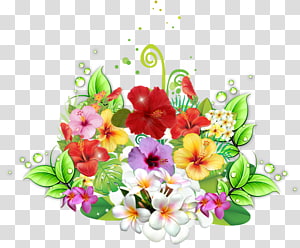 Floral design Flower bouquet Cut flowers, flower transparent background PNG clipart thumbnail