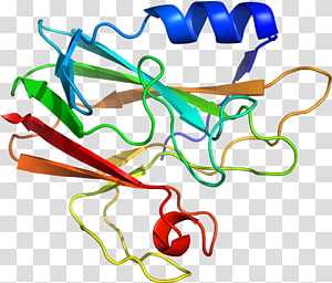 Line Point Organism , line transparent background PNG clipart thumbnail