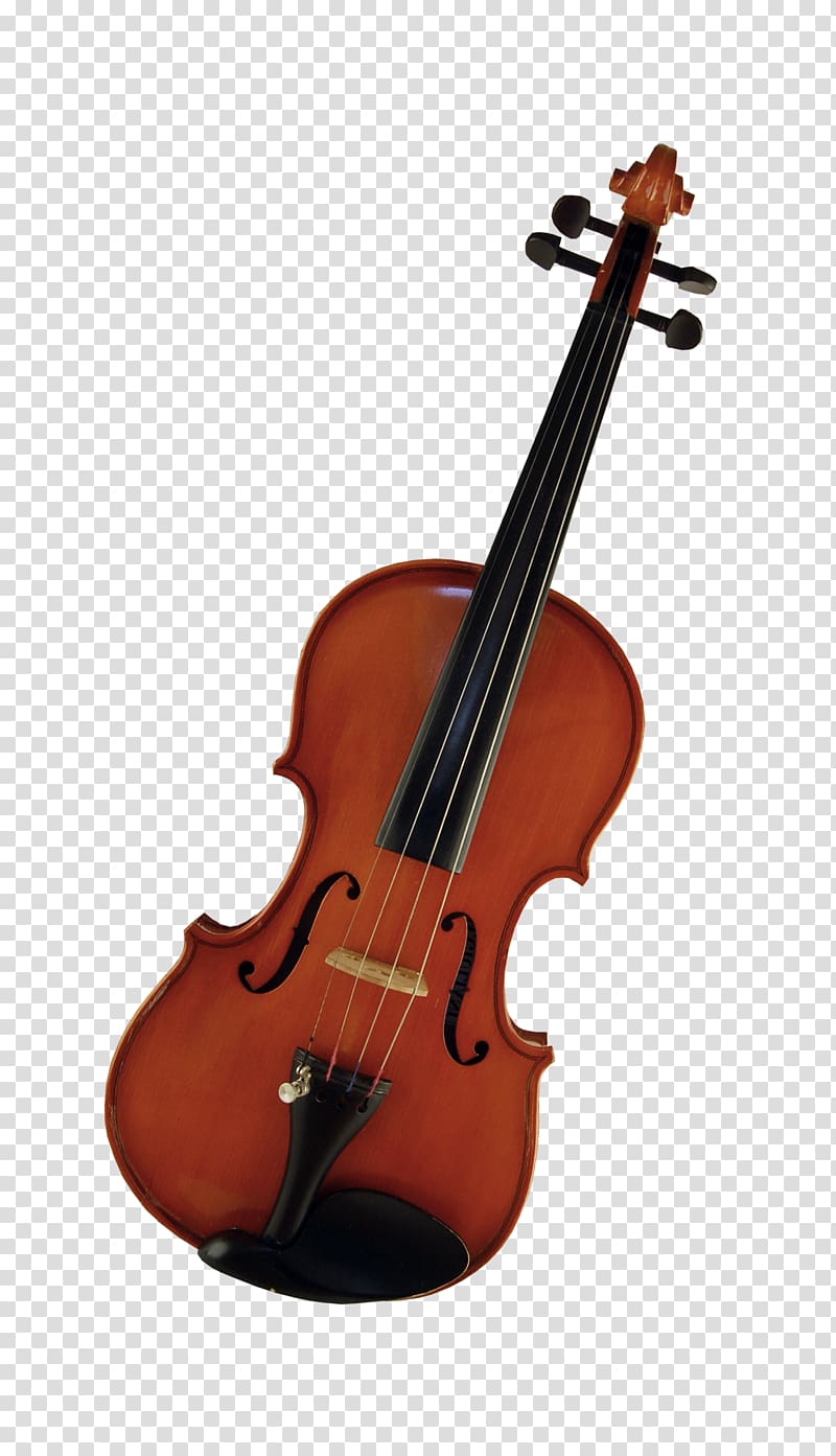 Violin String instrument Musical instrument Tuning peg, violin transparent background PNG clipart