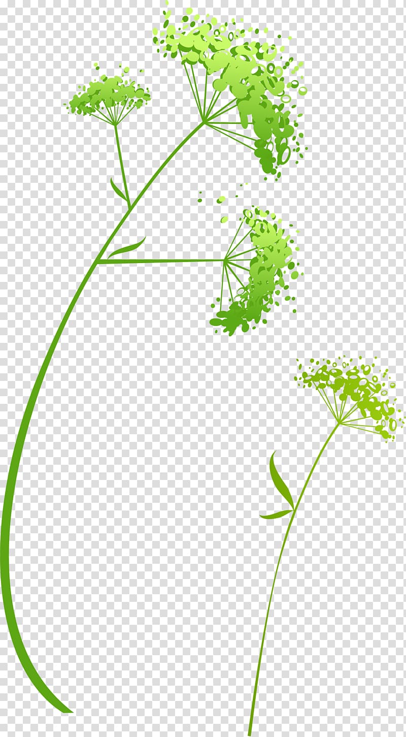 Green Flower, Hand painted green flowers transparent background PNG clipart
