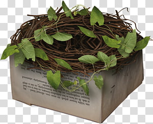 Easter , Easter transparent background PNG clipart thumbnail