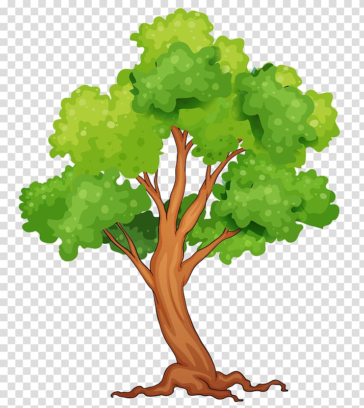 Tropical rainforest Tree , tree transparent background PNG clipart