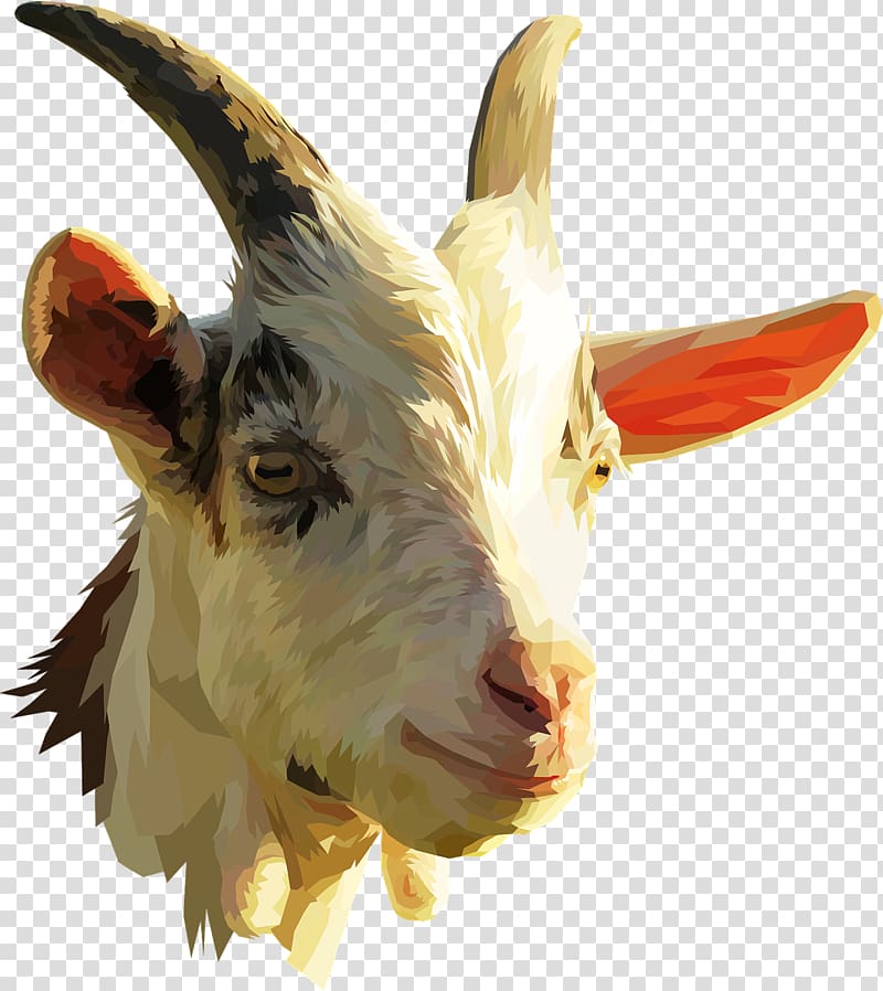 goat painting, Pygmy goat Nigerian Dwarf goat Spanish goat Sheep iPhone 7 Plus, Imposing goat transparent background PNG clipart