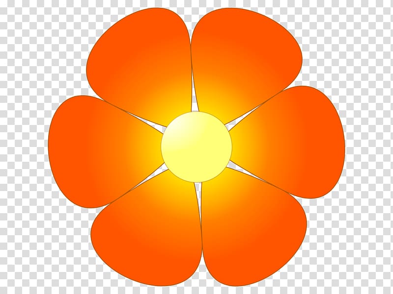 Flower Orange blossom , Flower transparent background PNG clipart