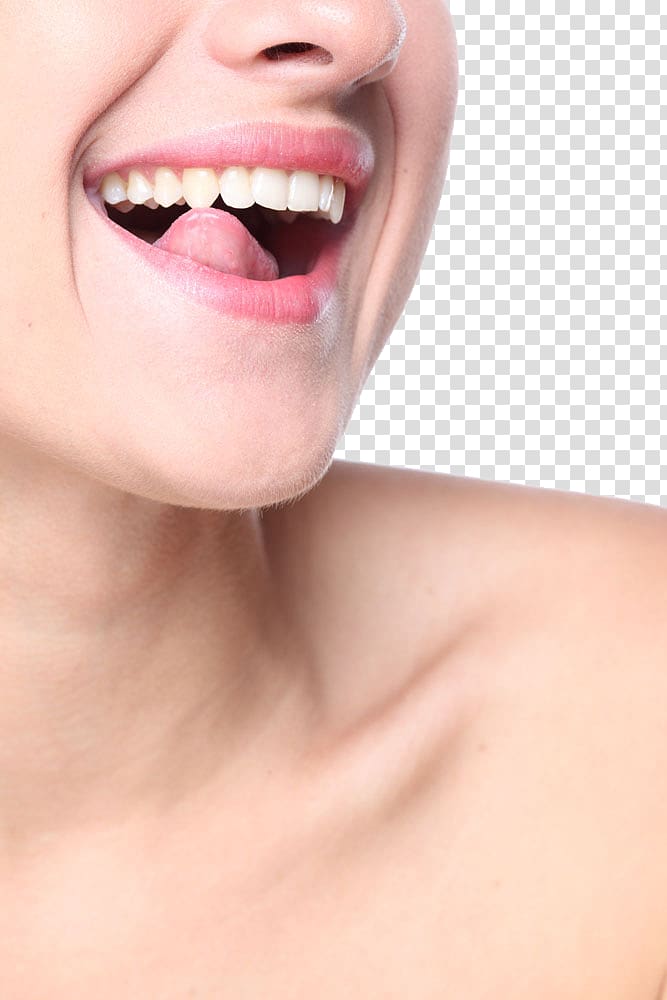 Dentistry Oral hygiene Veneer Clinic, Teeth model transparent background PNG clipart