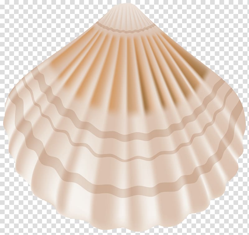 Portable Network Graphics Seashell Illustration, seashell transparent background PNG clipart