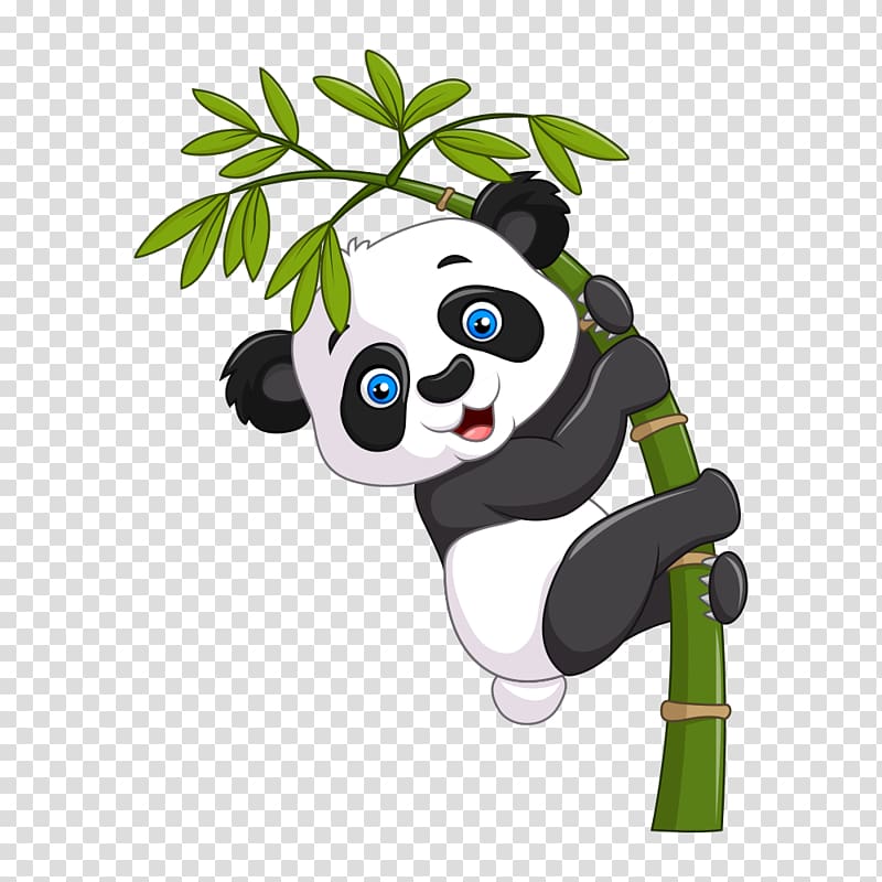 Giant panda Cartoon Illustration, panda, giant panda on bamboo tree transparent background PNG clipart