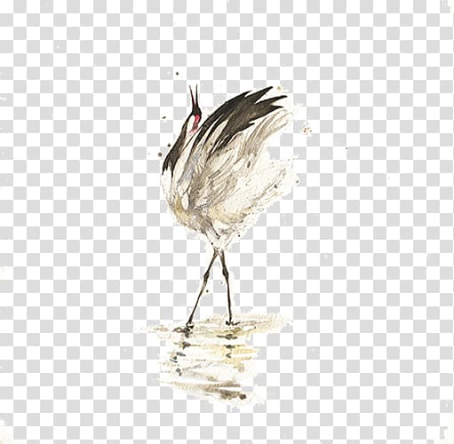 Bird u660eu53f0 Crane, White Crane transparent background PNG clipart