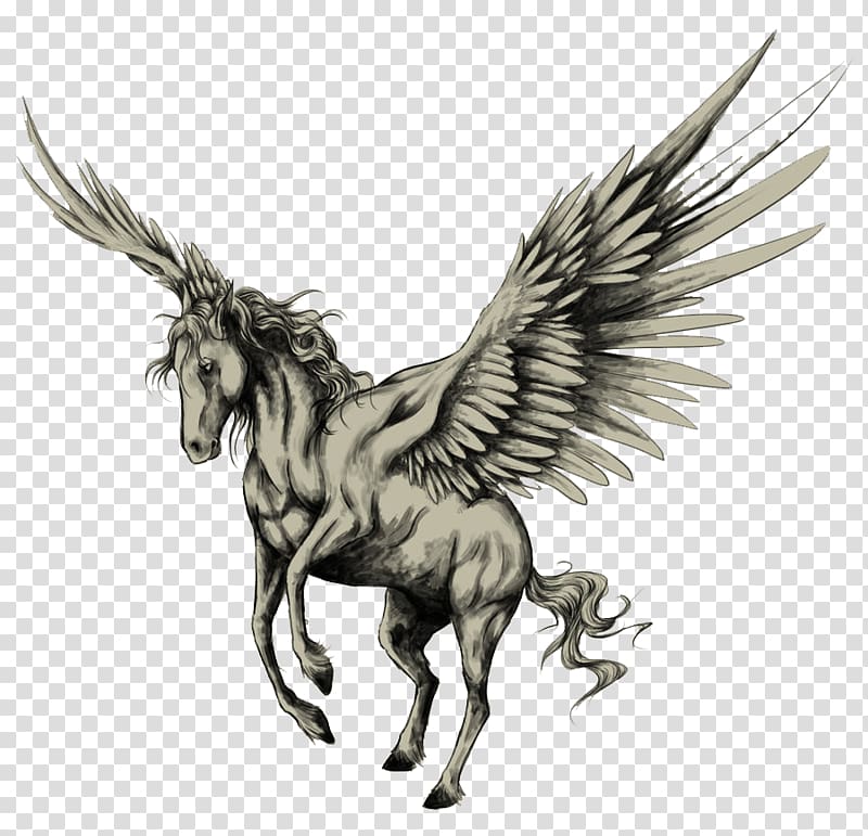 pegasus illustration, Tattoo Pegasus Drawing Horse Sketch, Pegasus transparent background PNG clipart