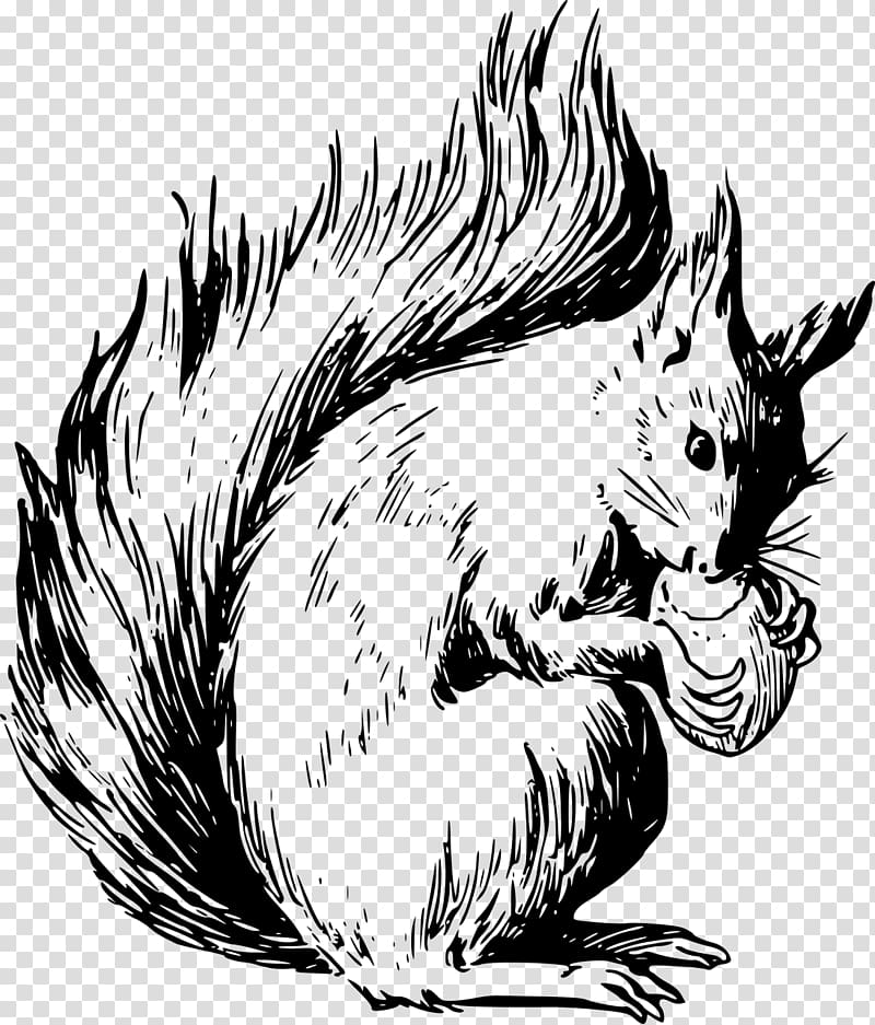 Squirrel Drawing , squirrel transparent background PNG clipart